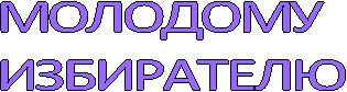 Молодому избирателю